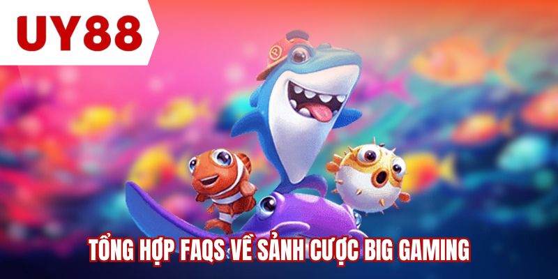 Tổng hợp FAQs về sảnh cược Big Gaming